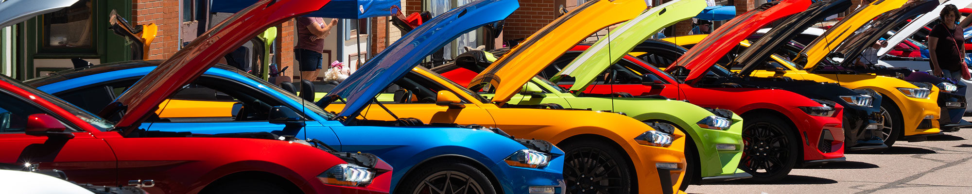 rmmr2026-shownshine2